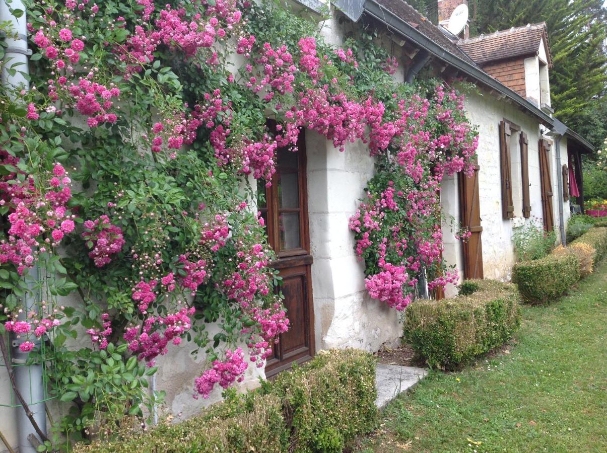 Gite O Beauval Saint-Aignan  Exterior photo